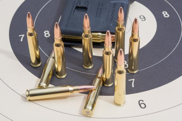 Dekopatrone .223 Remington / 5,56 x 45 mm NATO - 10 Stück